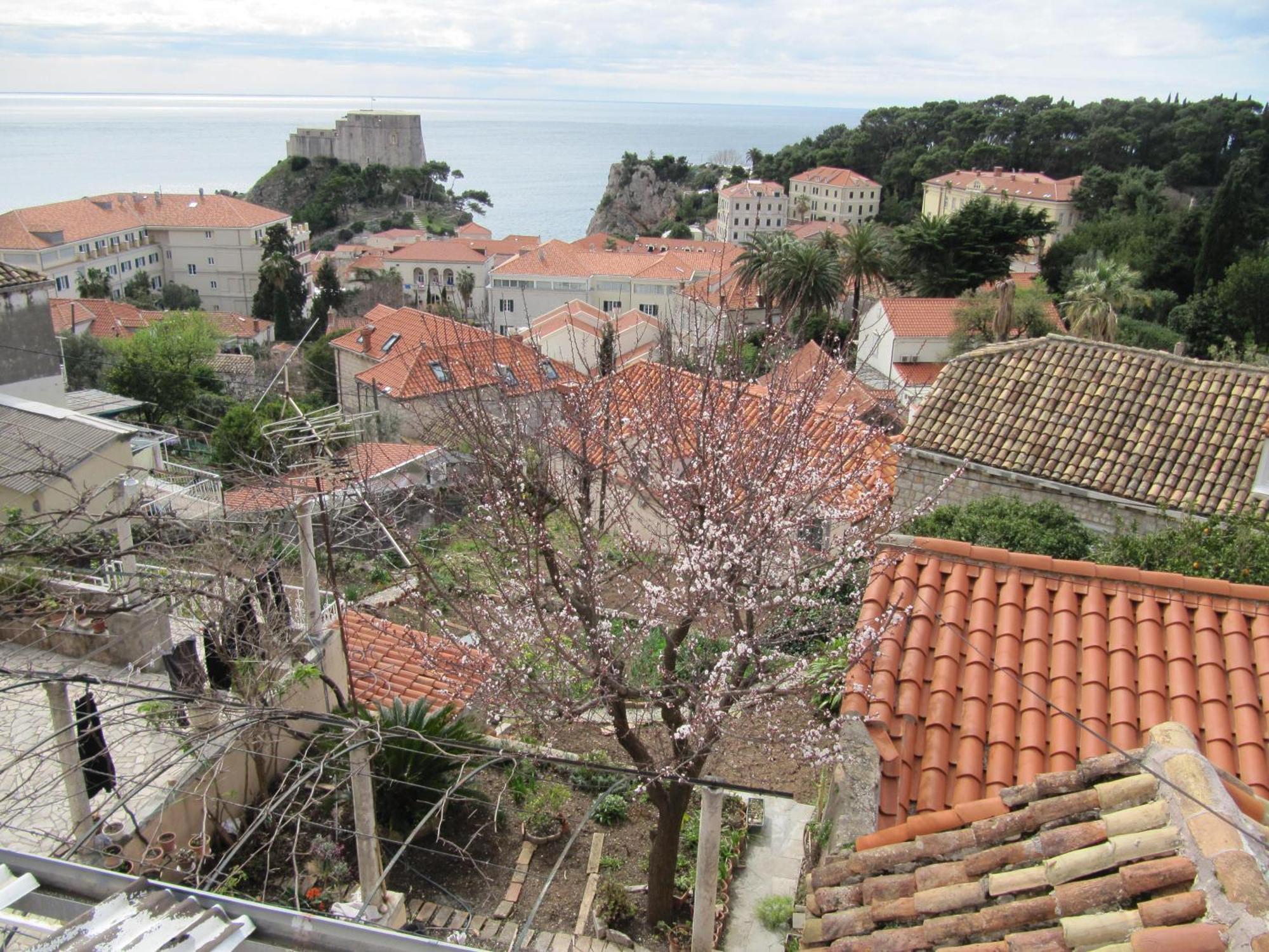 Room & Apartment Saint John Dubrovnik Dış mekan fotoğraf